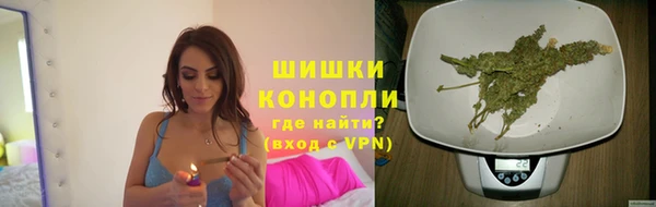 молекула духа Калининец