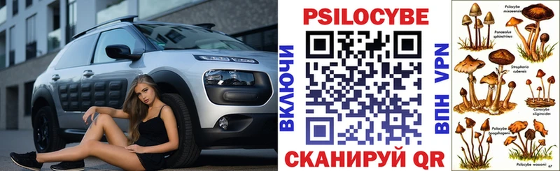 Купить  Стародуб  Псилоцибиновые грибы MAGIC MUSHROOMS 